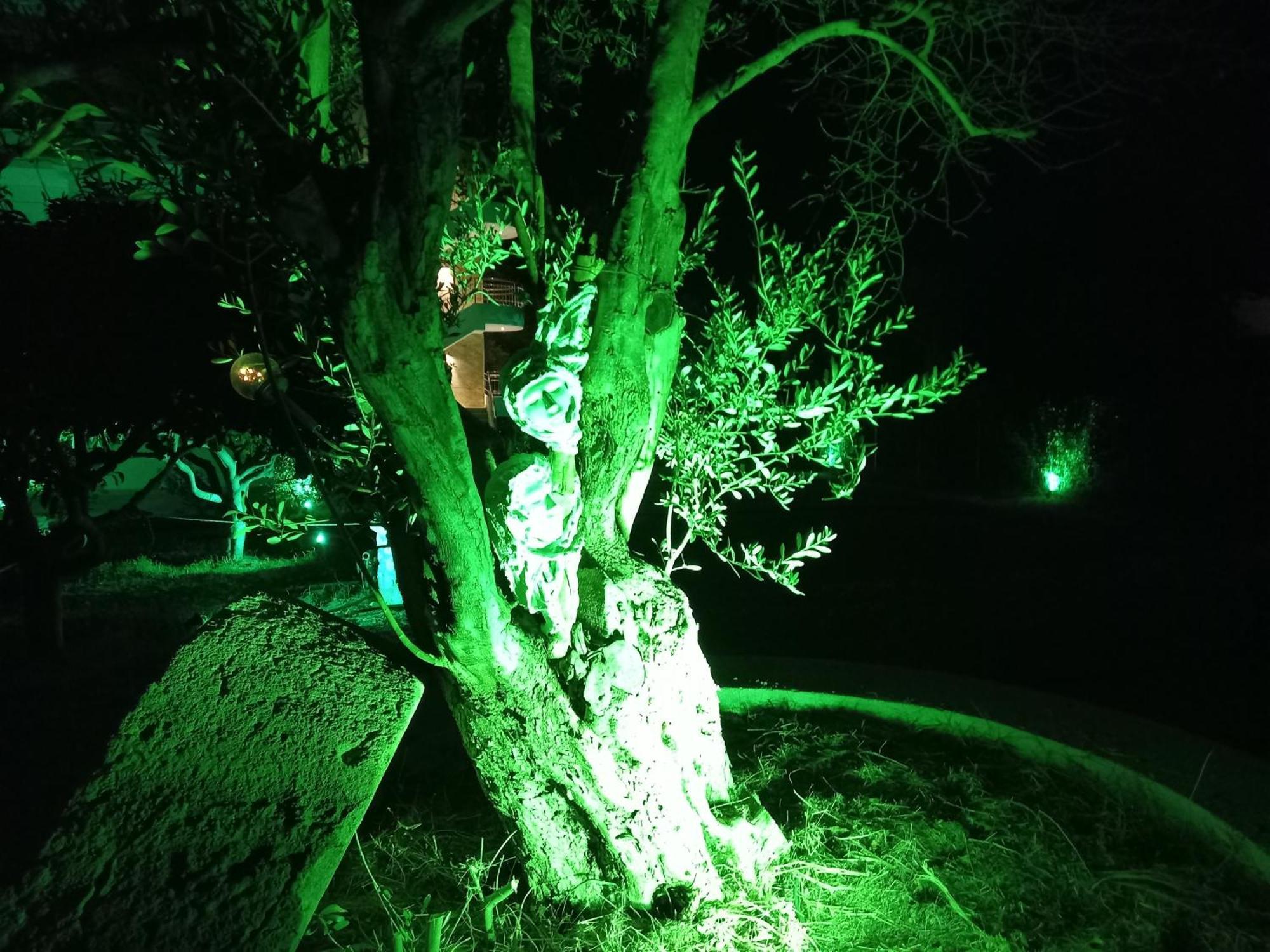 Sweet Home Luxury Apartment 5 Ialysos  Esterno foto